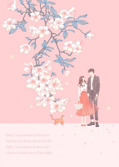 ����Ľ����